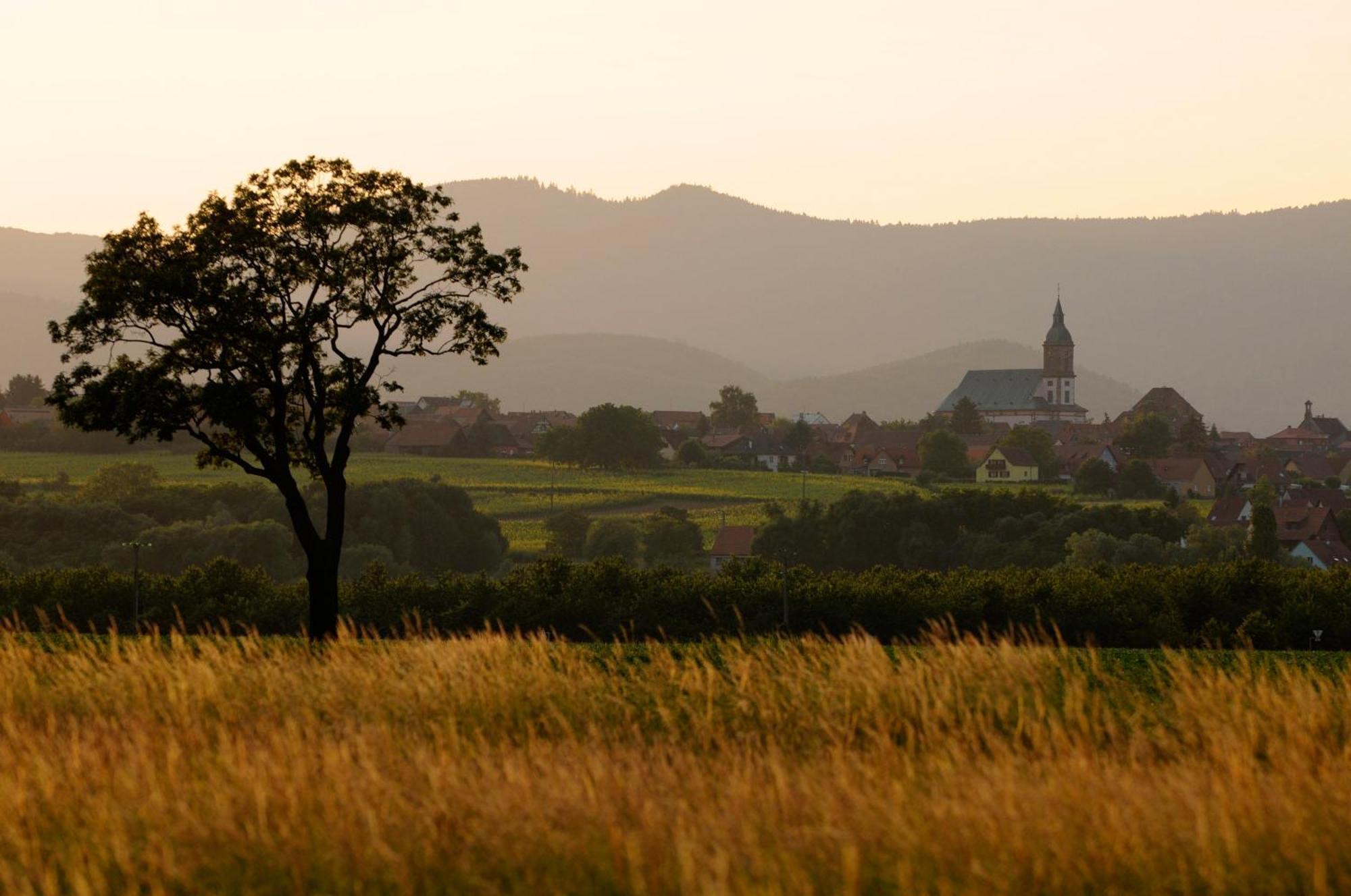 Gite Jeanne Familial - Calme - Parking Ebersheim Экстерьер фото