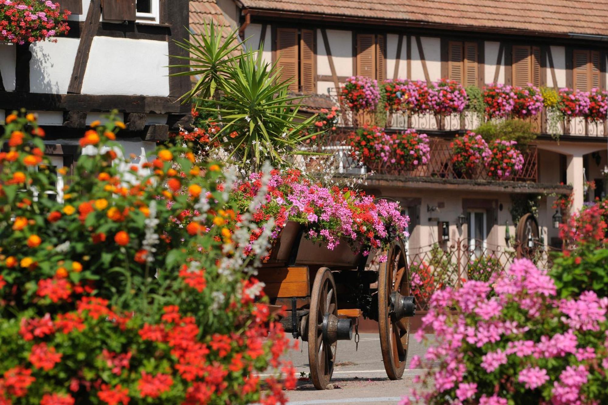 Gite Jeanne Familial - Calme - Parking Ebersheim Экстерьер фото